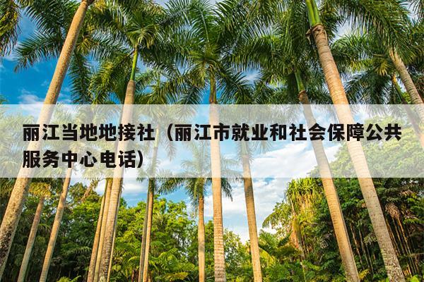 丽江当地地接社（丽江市就业和社会保障公共服务中心电话）