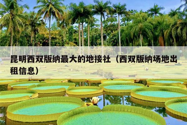 昆明西双版纳最大的地接社（西双版纳场地出租信息）
