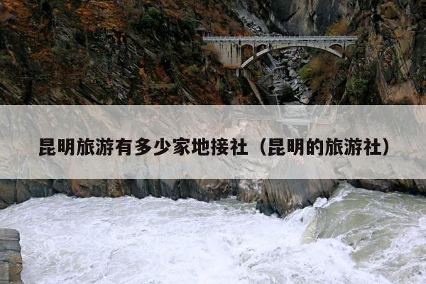 昆明旅游有多少家地接社（昆明的旅游社）