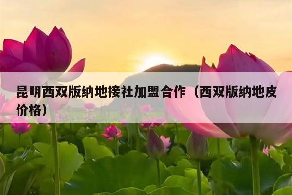 昆明西双版纳地接社加盟合作（西双版纳地皮价格）