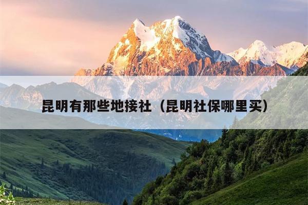 昆明有那些地接社（昆明社保哪里买）