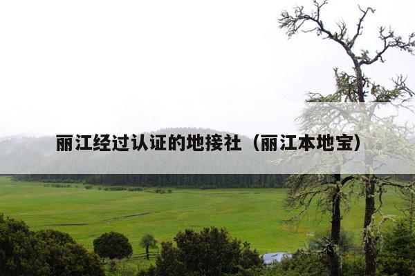 丽江经过认证的地接社（丽江本地宝）