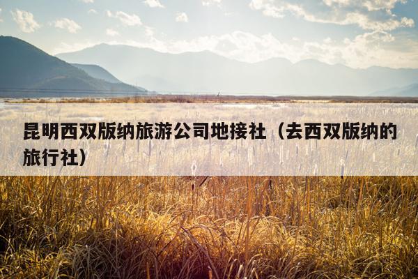 昆明西双版纳旅游公司地接社（去西双版纳的旅行社）