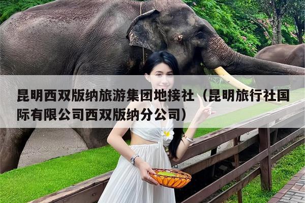 昆明西双版纳旅游集团地接社（昆明旅行社国际有限公司西双版纳分公司）