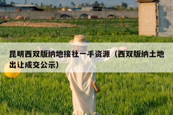 昆明西双版纳地接社一手资源（西双版纳土地出让成交公示）