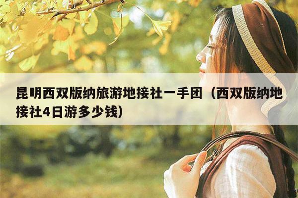 昆明西双版纳旅游地接社一手团（西双版纳地接社4日游多少钱）