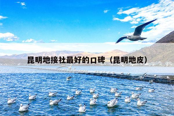 昆明地接社最好的口碑（昆明地皮）
