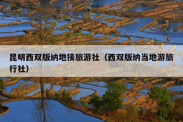 昆明西双版纳地接旅游社（西双版纳当地游旅行社）