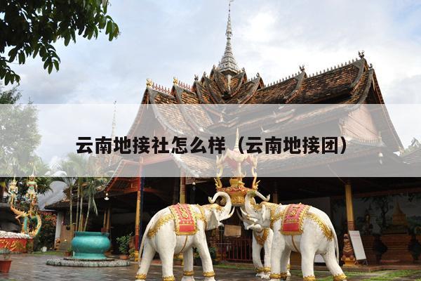 云南地接社怎么样（云南地接团）