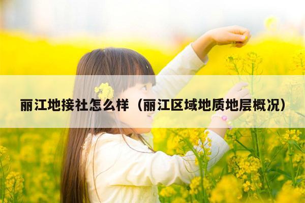 丽江地接社怎么样（丽江区域地质地层概况）