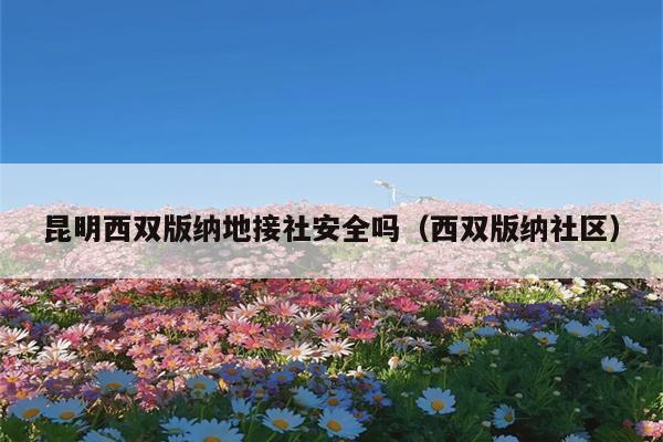 昆明西双版纳地接社安全吗（西双版纳社区）