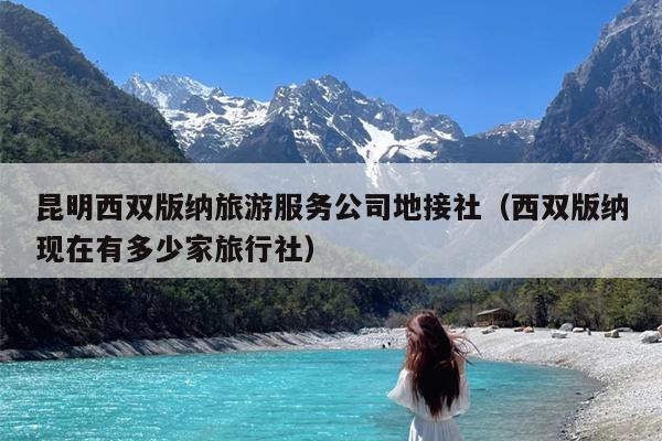 昆明西双版纳旅游服务公司地接社（西双版纳现在有多少家旅行社）