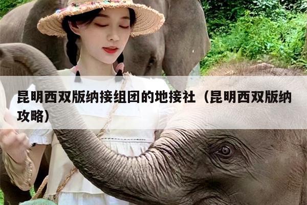 昆明西双版纳接组团的地接社（昆明西双版纳攻略）