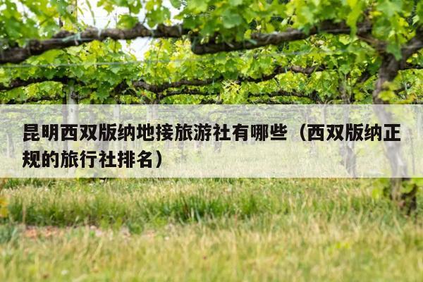 昆明西双版纳地接旅游社有哪些（西双版纳正规的旅行社排名）