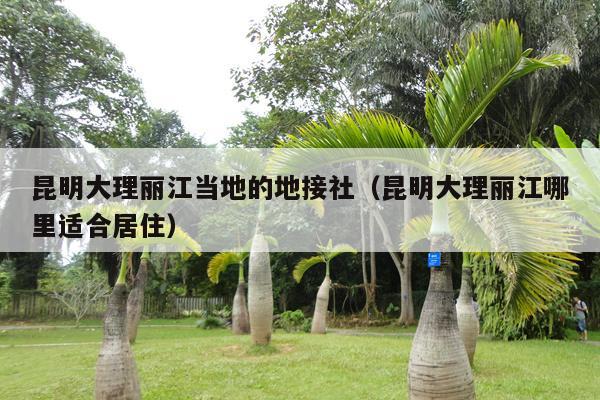 昆明大理丽江当地的地接社（昆明大理丽江哪里适合居住）