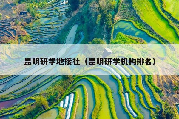 昆明研学地接社（昆明研学机构排名）