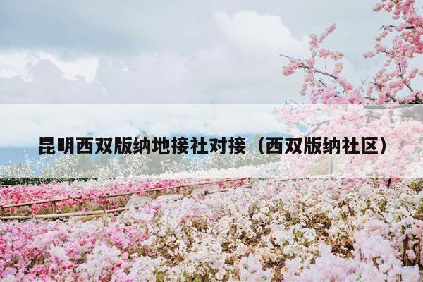 昆明西双版纳地接社对接（西双版纳社区）