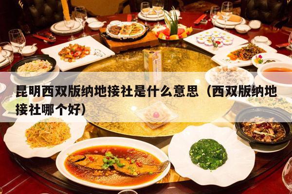 昆明西双版纳地接社是什么意思（西双版纳地接社哪个好）