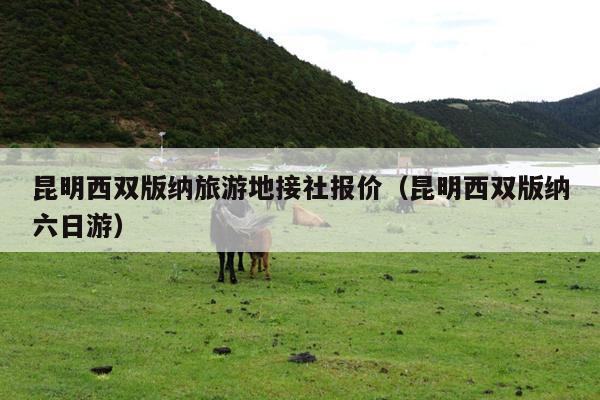 昆明西双版纳旅游地接社报价（昆明西双版纳六日游）