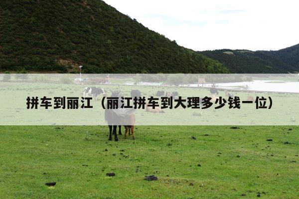 拼车到丽江（丽江拼车到大理多少钱一位）