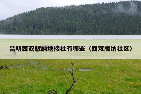 昆明西双版纳地接社有哪些（西双版纳社区）