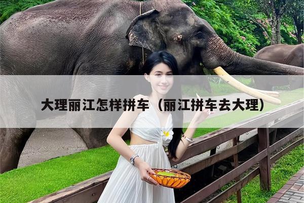 大理丽江怎样拼车（丽江拼车去大理）