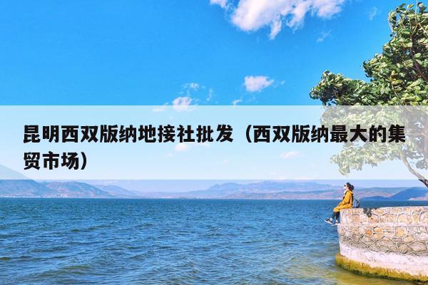 昆明西双版纳地接社批发（西双版纳最大的集贸市场）