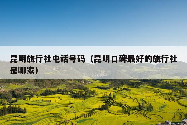 昆明旅行社电话号码（昆明口碑最好的旅行社是哪家）