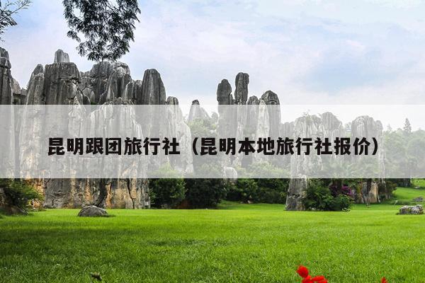 昆明跟团旅行社（昆明本地旅行社报价）