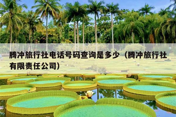 腾冲旅行社电话号码查询是多少（腾冲旅行社有限责任公司）
