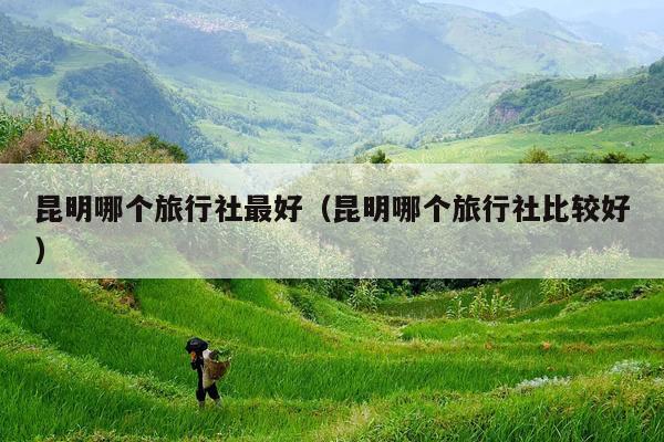 昆明哪个旅行社最好（昆明哪个旅行社比较好）