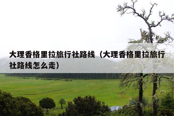 大理香格里拉旅行社路线（大理香格里拉旅行社路线怎么走）