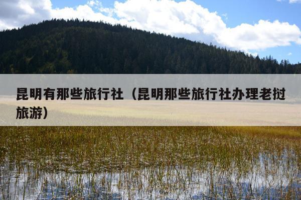 昆明有那些旅行社（昆明那些旅行社办理老挝旅游）