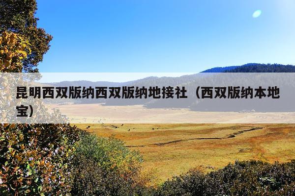 昆明西双版纳西双版纳地接社（西双版纳本地宝）