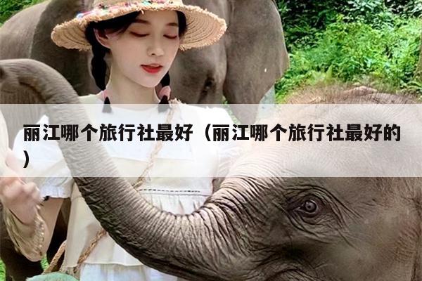 丽江哪个旅行社最好（丽江哪个旅行社最好的）