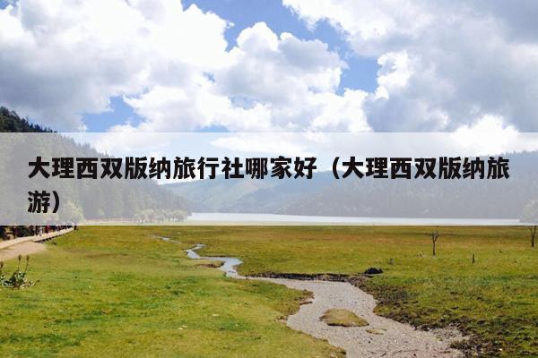 大理西双版纳旅行社哪家好（大理西双版纳旅游）