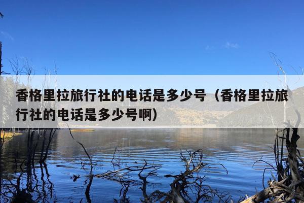 香格里拉旅行社的电话是多少号（香格里拉旅行社的电话是多少号啊）