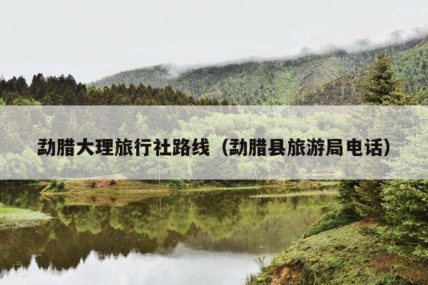 勐腊大理旅行社路线（勐腊县旅游局电话）
