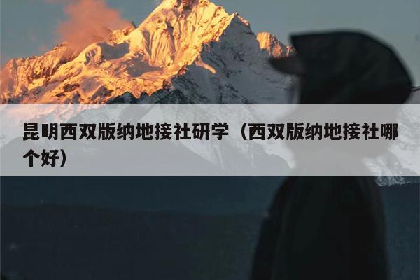 昆明西双版纳地接社研学（西双版纳地接社哪个好）