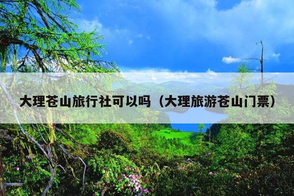 大理苍山旅行社可以吗（大理旅游苍山门票）