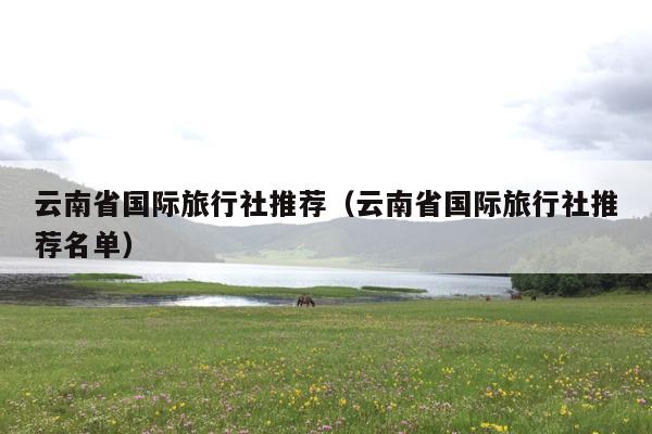 云南省国际旅行社推荐（云南省国际旅行社推荐名单）