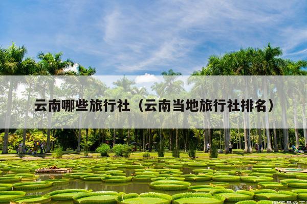 云南哪些旅行社（云南当地旅行社排名）