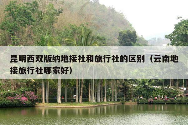昆明西双版纳地接社和旅行社的区别（云南地接旅行社哪家好）