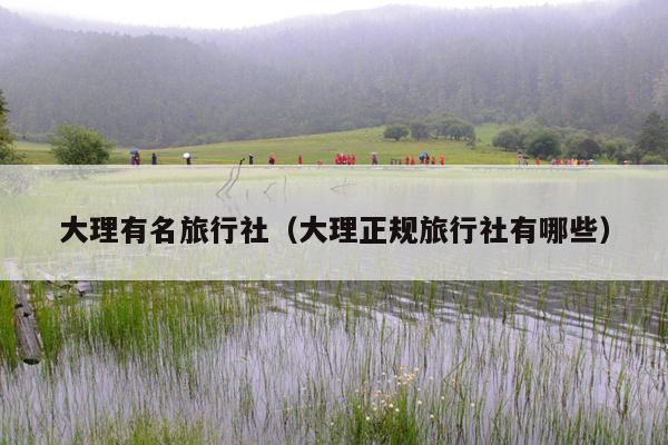 大理有名旅行社（大理正规旅行社有哪些）