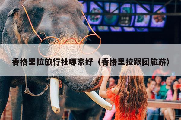 香格里拉旅行社哪家好（香格里拉跟团旅游）