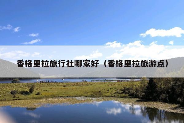 香格里拉旅行社哪家好（香格里拉旅游点）
