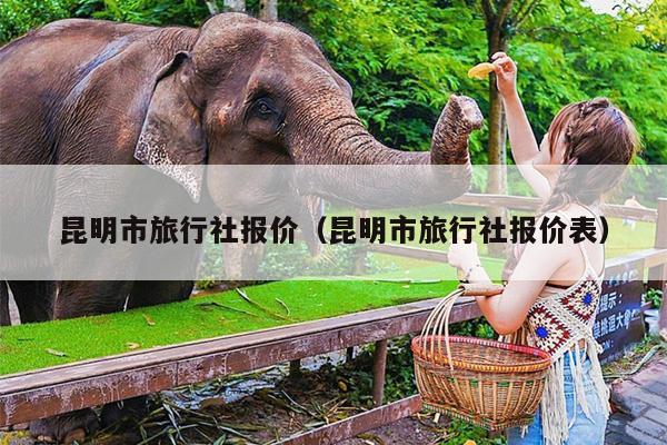 昆明市旅行社报价（昆明市旅行社报价表）
