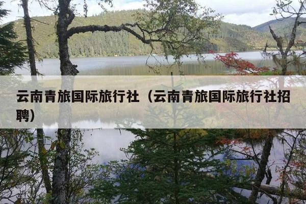 云南青旅国际旅行社（云南青旅国际旅行社招聘）