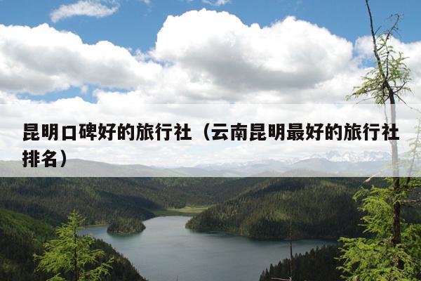 昆明口碑好的旅行社（云南昆明最好的旅行社排名）