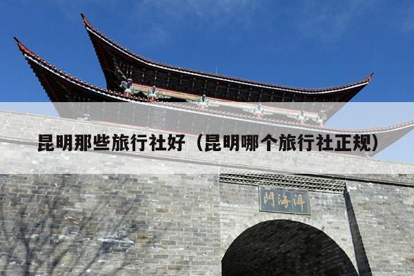 昆明那些旅行社好（昆明哪个旅行社正规）